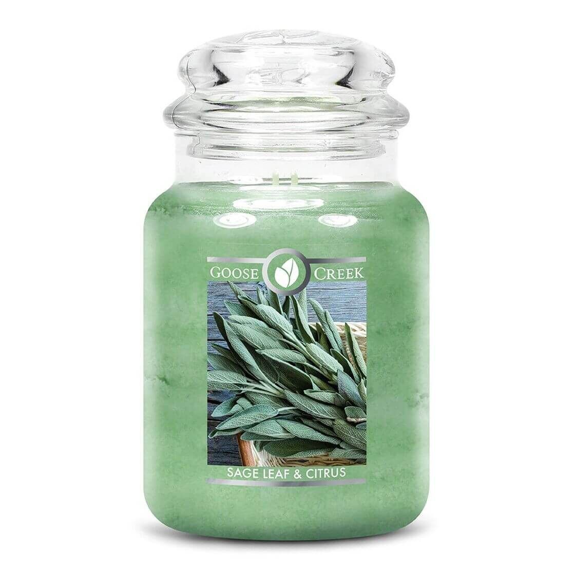 goose-creek-candlez-sage-leaf-citrus-2-docht-kerze-680g Sage Leaf & Citrus 680g