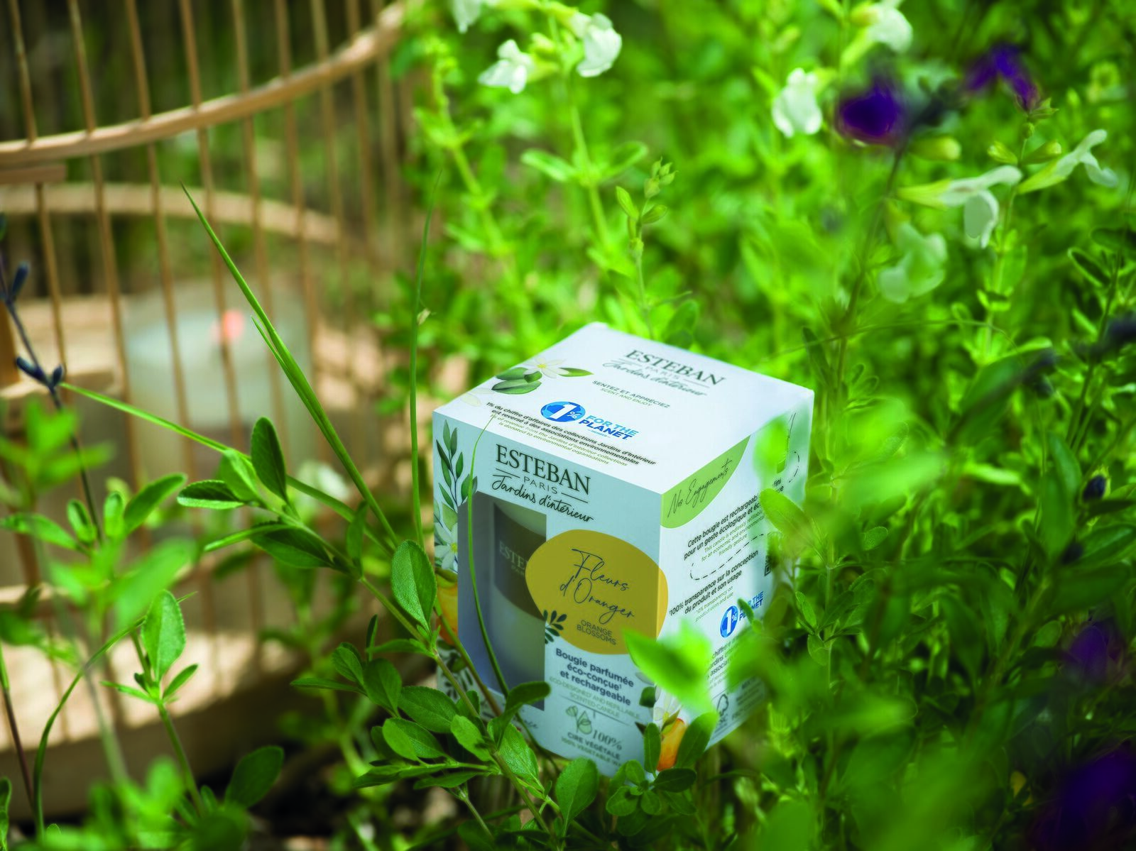 Rebpfirsich Duftkerze 180g