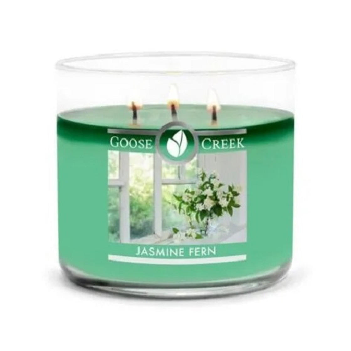 Jasmine Fern 411g (3-Docht)