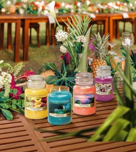 SS21_Q2_Last-Paradise_Group-ShotFGtVUpkmrKRpX Tropical Starfruit 411g