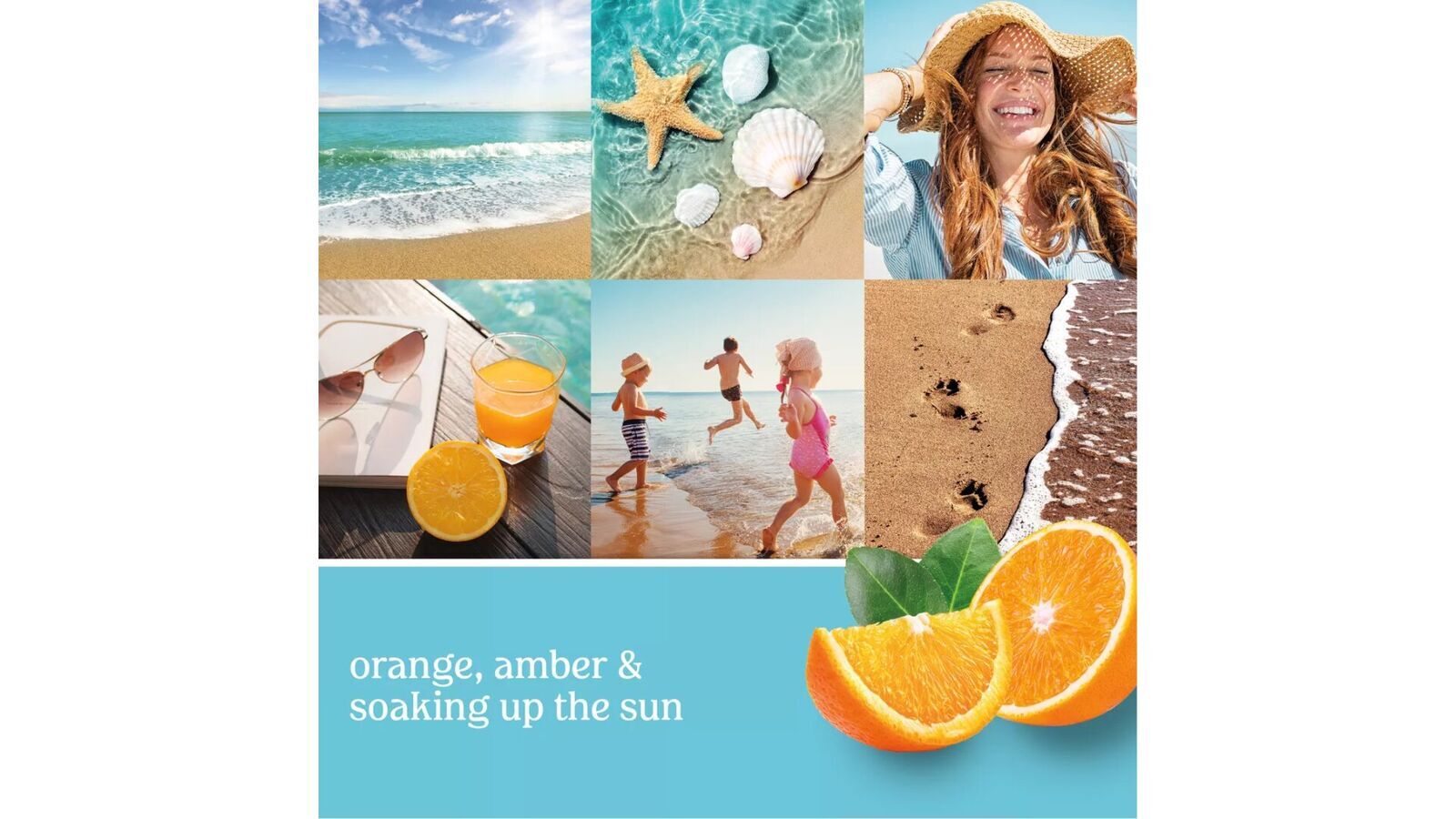 crays2 Catching Rays 623g