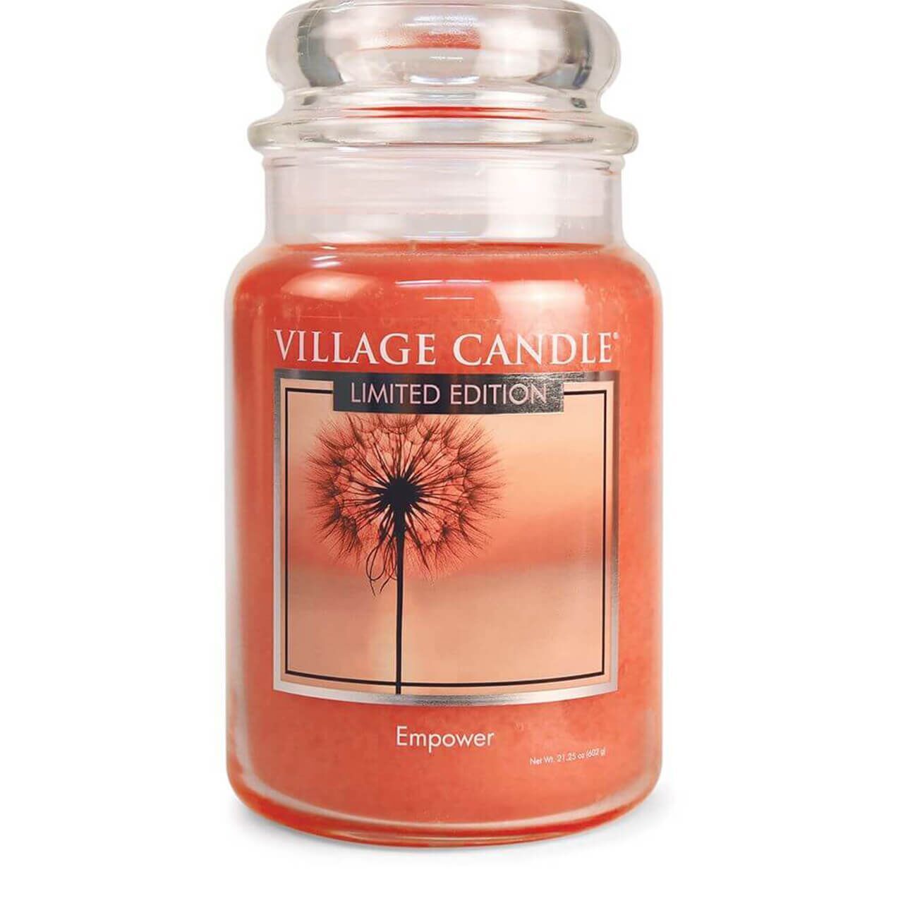 empower Empower 602g