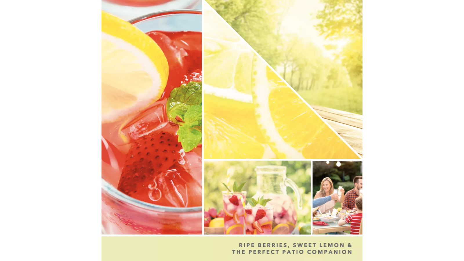 Download-24 Iced Berry Lemonade 37g