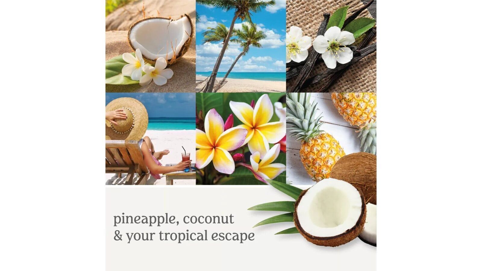 cocobeach2 Coconut Beach 623g