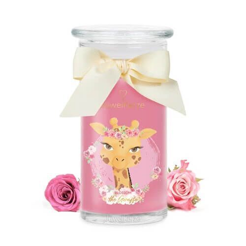 95e2b88b511633f6a0a749eb66fd11302b22c3f0_Blossom_the_Giraffe_CUT_DE Blossom the Giraffe (Charm) 400g