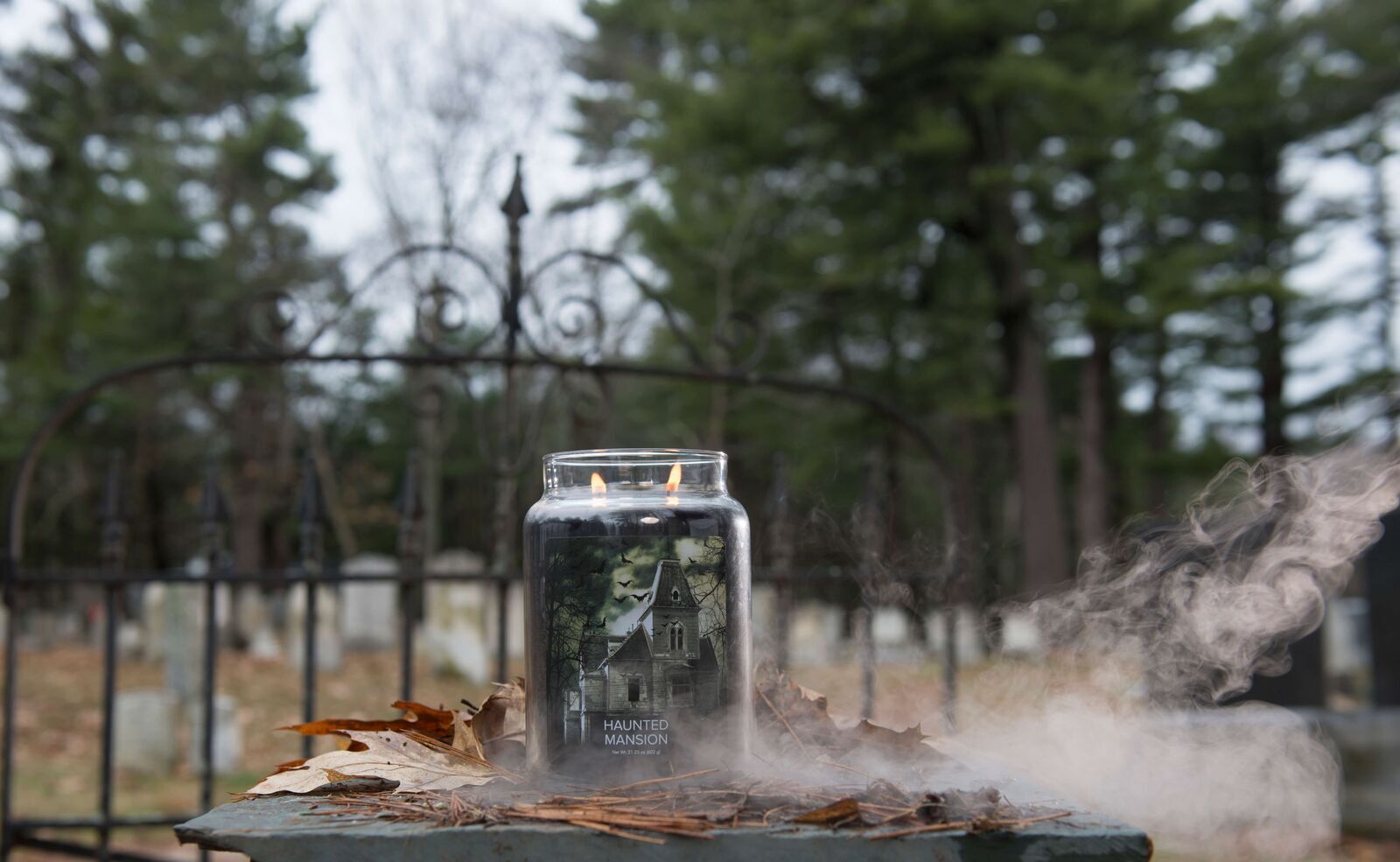 Haunted Mansion 602g