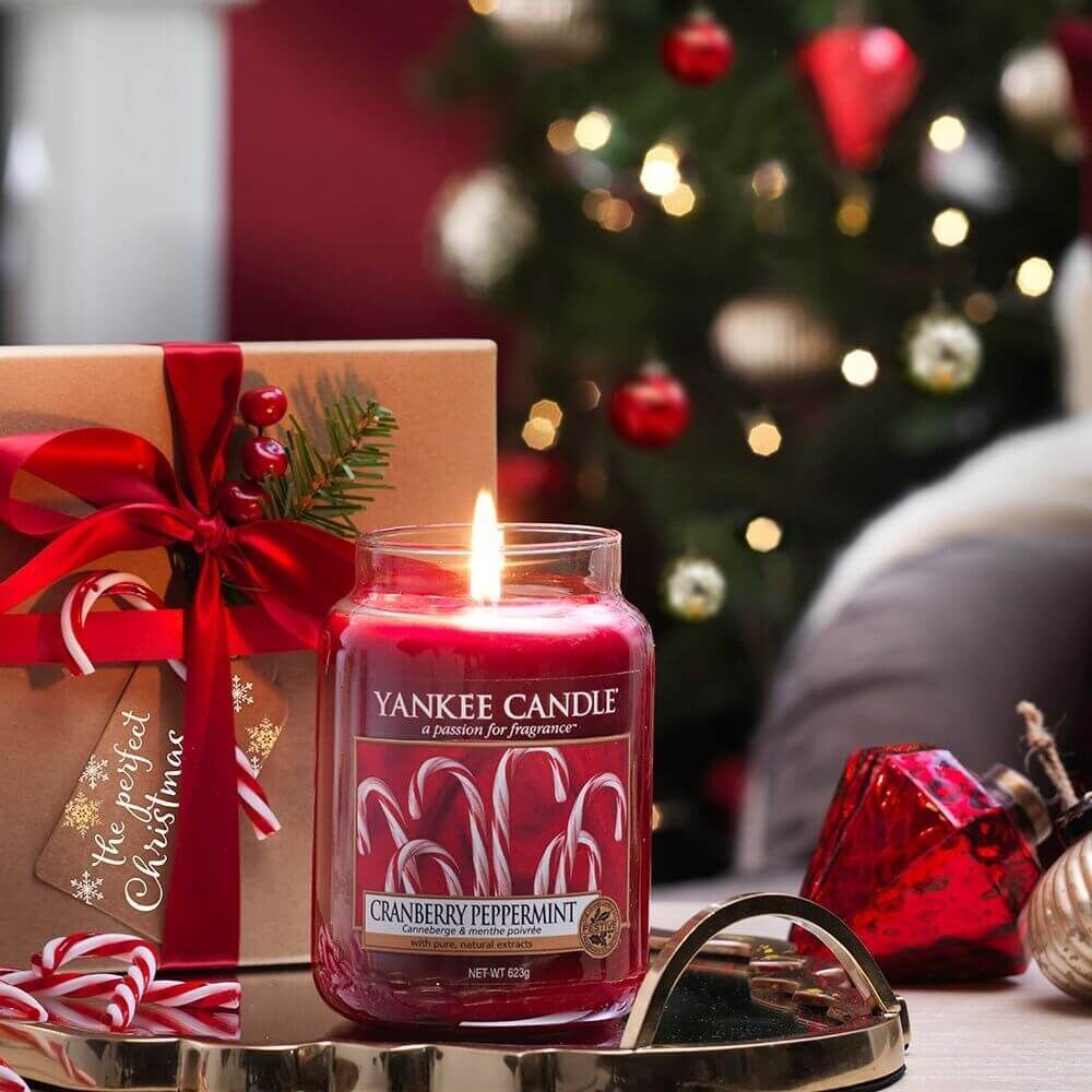 Q4-Destination_Cranberry-Peppermint_Portrait_1 Cranberry Peppermint 623g