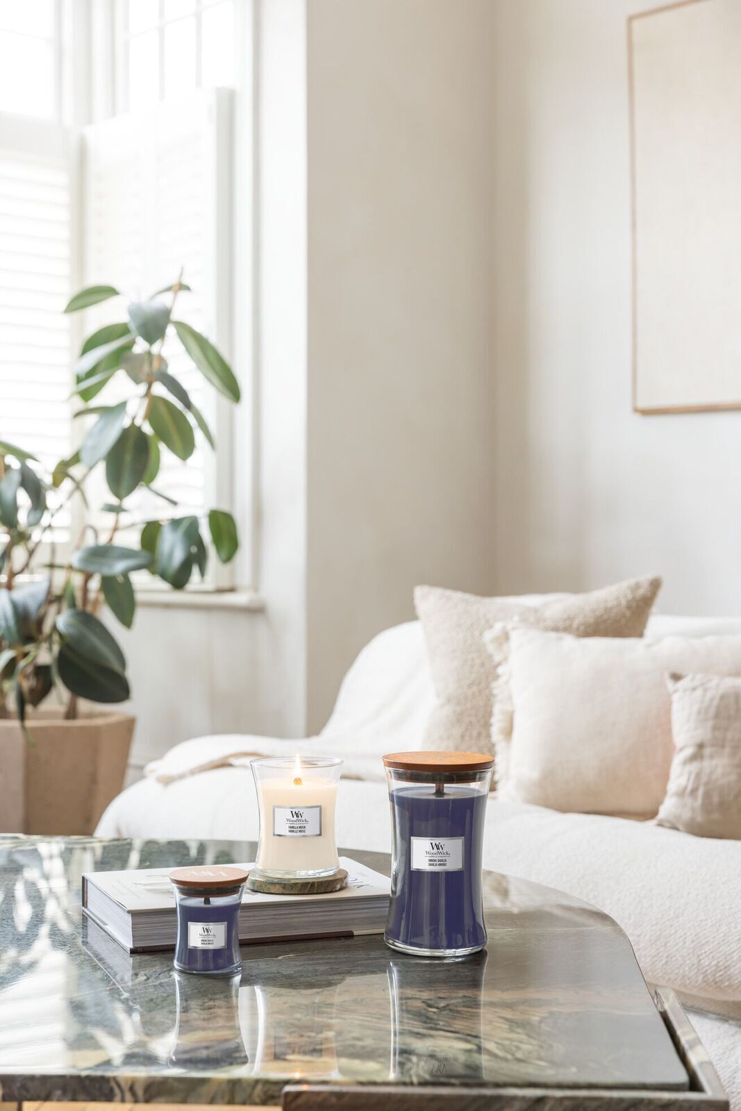 VANILLA_MUSK_HINOKI_DAHLIA_LIVING_029 Hinoki Dahlia 275g