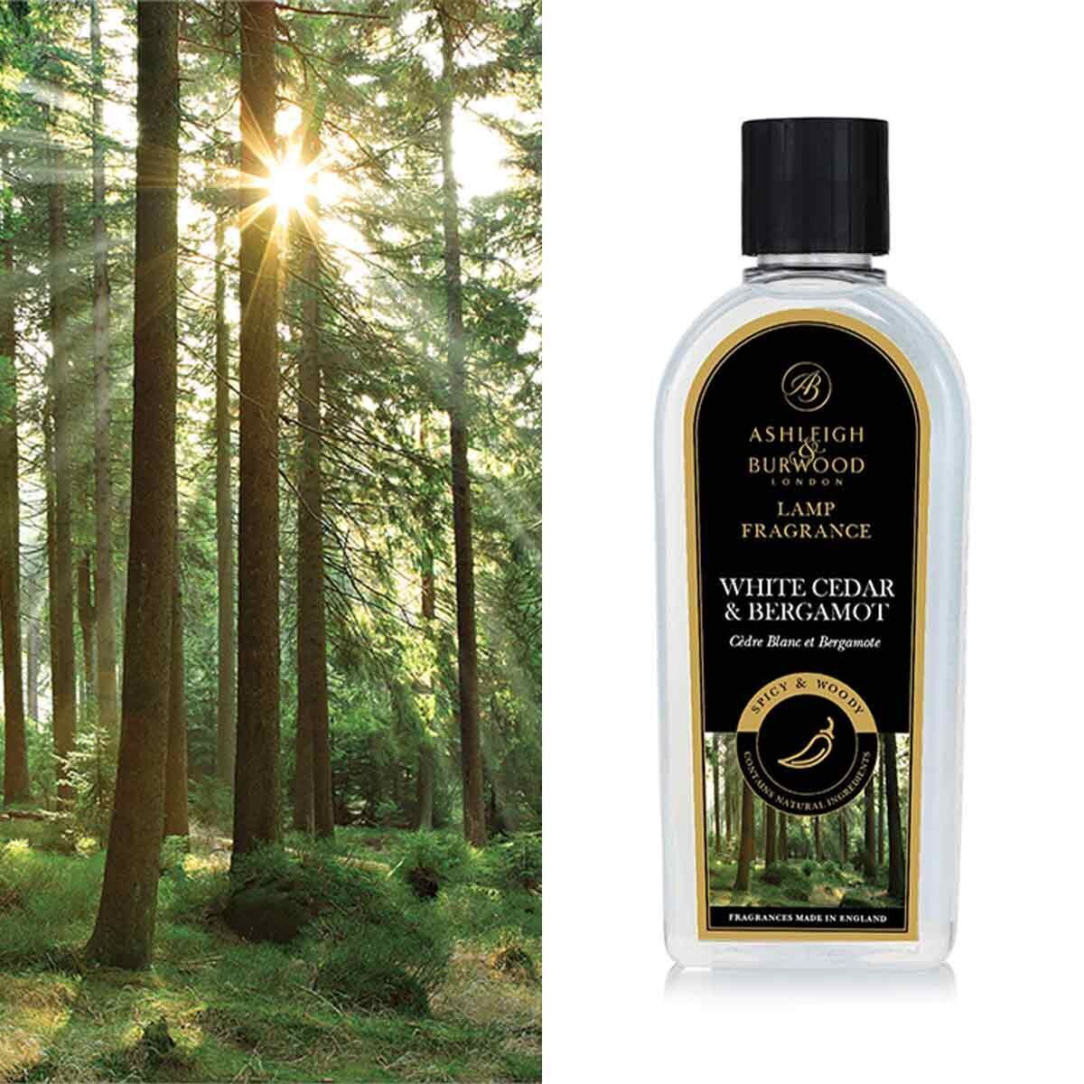 White Cedar & Bergamot 250ml Duftlampenöl Nachfüller Flasche, Pflanze, Vegetation, Parfüm, Wald