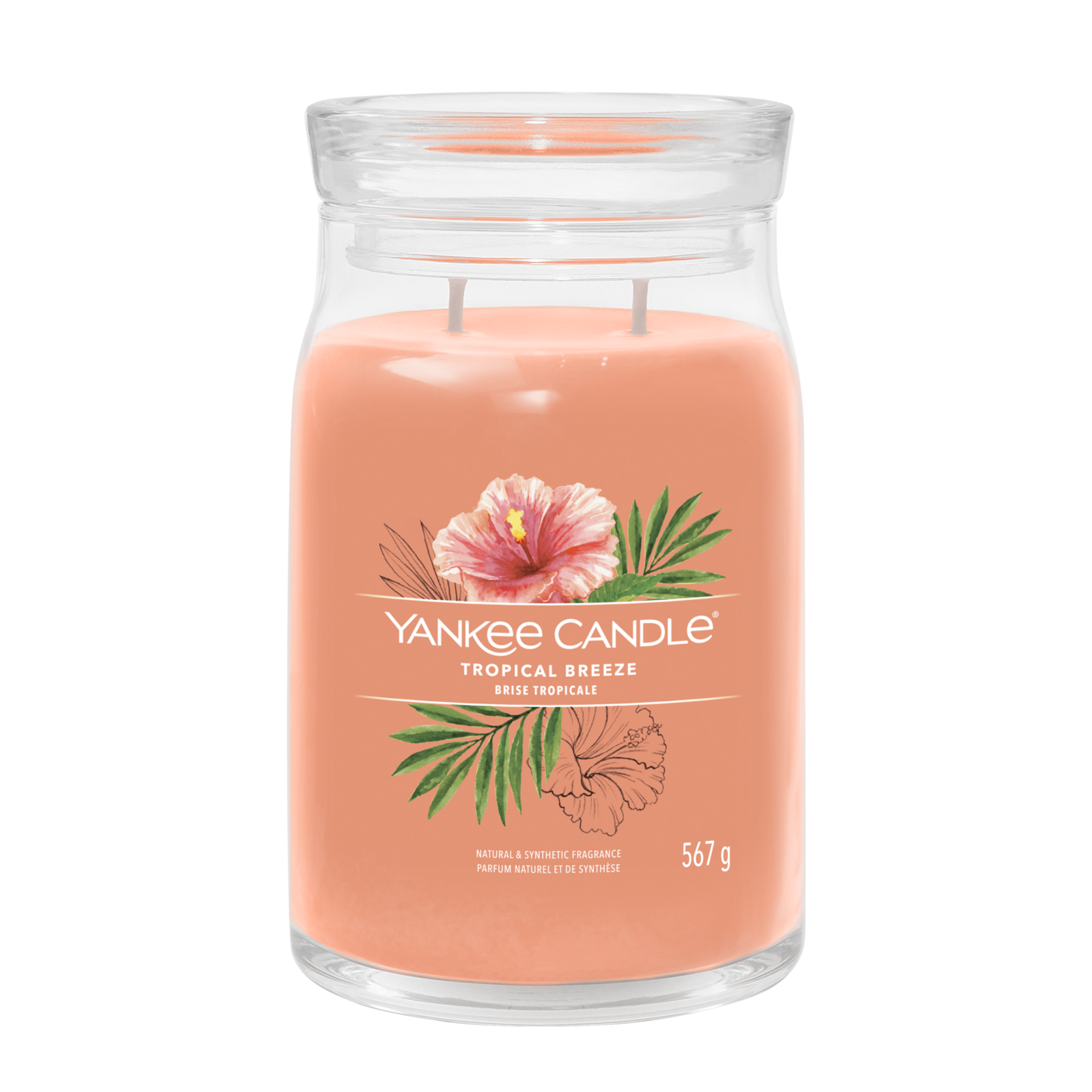 Tropical-Breeze_jar Tropical Breeze Signature Large Jar 567g 2-Docht