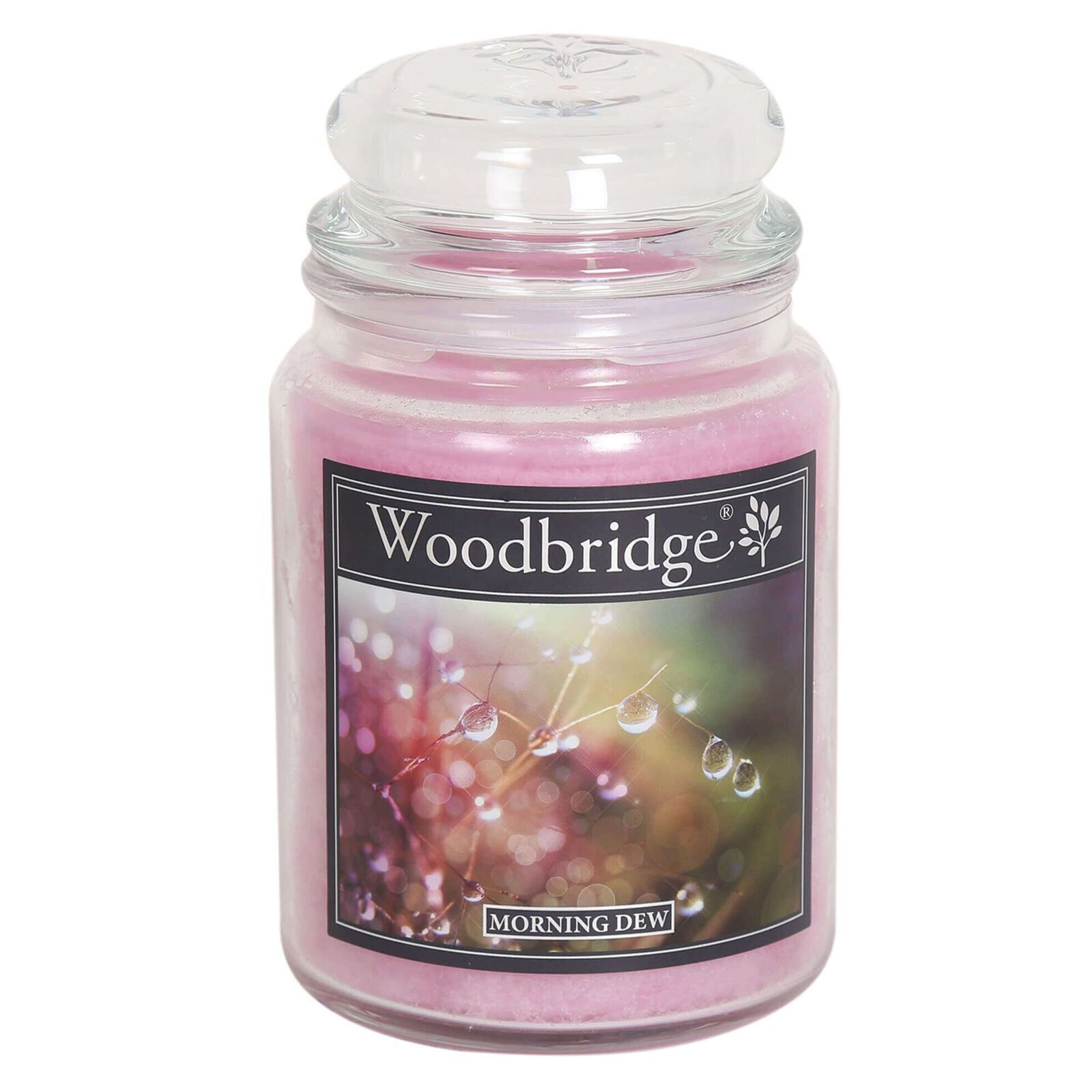 WLJ018 Morning Dew 565g