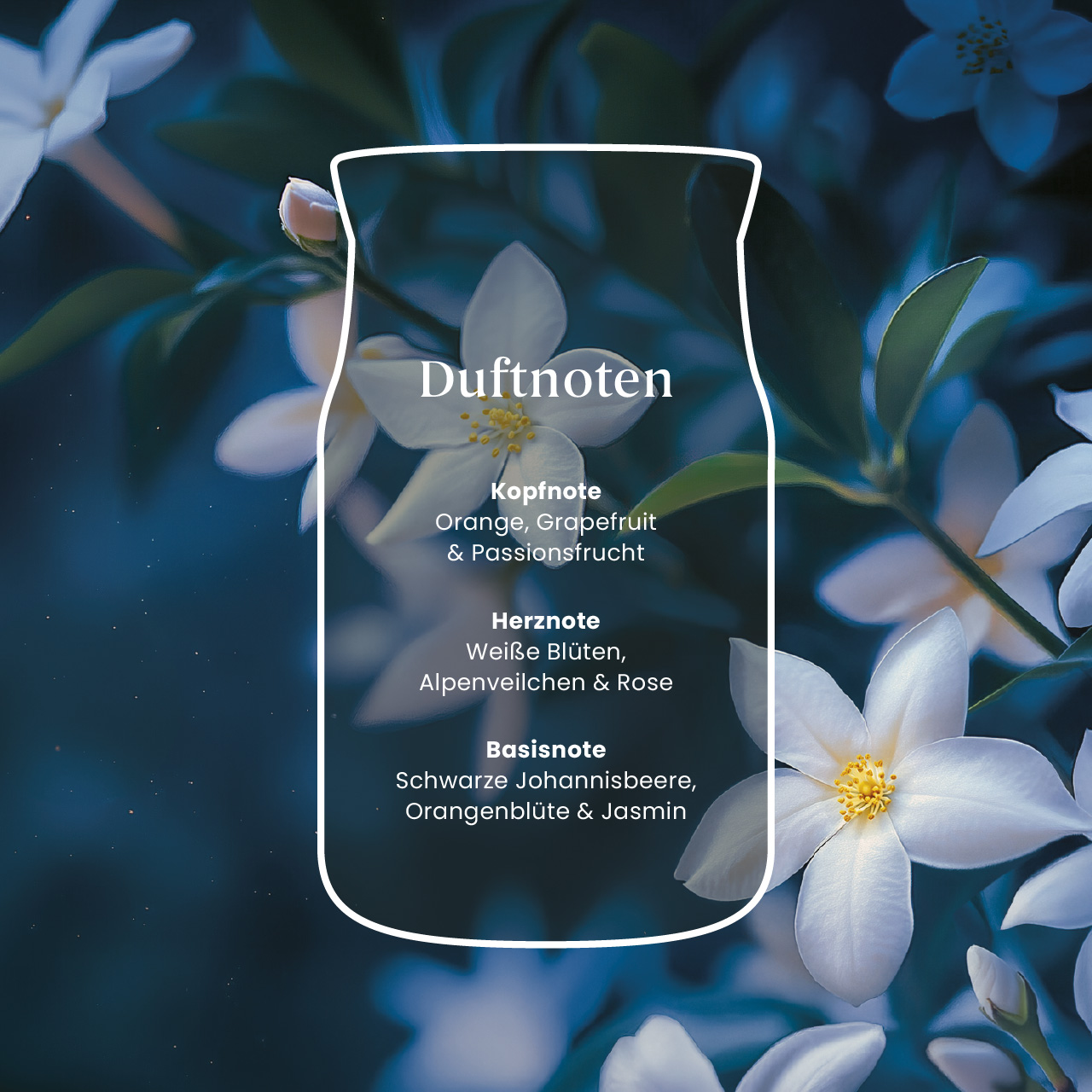 Midnight Jasmine 110g