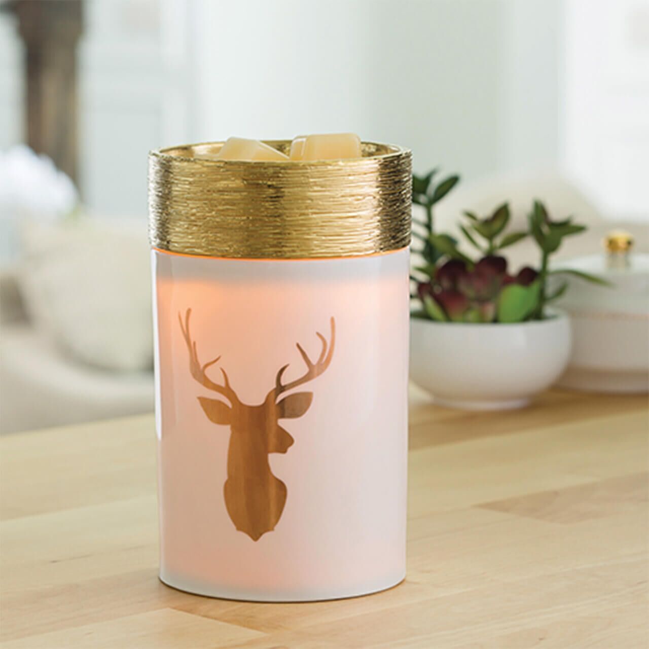3kFbr9PkV4nJhb Golden Stag Duftlampe elektrisch