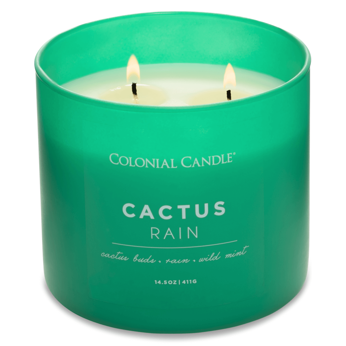 Duftkerze Cactus Rain  - 411g