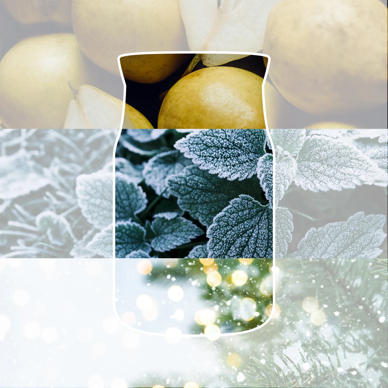 Winter Walk Signature Jar 567g 2-Docht Frucht, Birnen, Obstkorb, Gelb, Fruchtfleisch