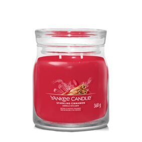 Sparkling_Cinnamon_Medium-1 Sparkling Cinnamon Signature Medium Jar 368g 2-Docht