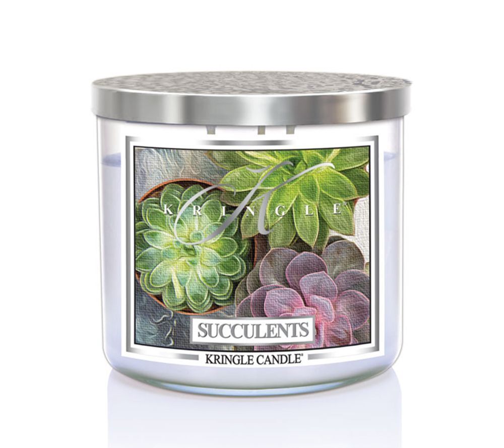 kringle_candle_succulents_silver_lid_american_heritage_13431_1 Succulents 396g Tumbler 3-Docht