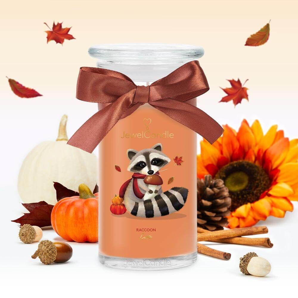 07037483254d3cd84e2d5db3e4b0eb40ea0a6fb3_Raccoon_Love_product_picture_INT_2048x Racoon Love (Charm-Anhänger) 400g