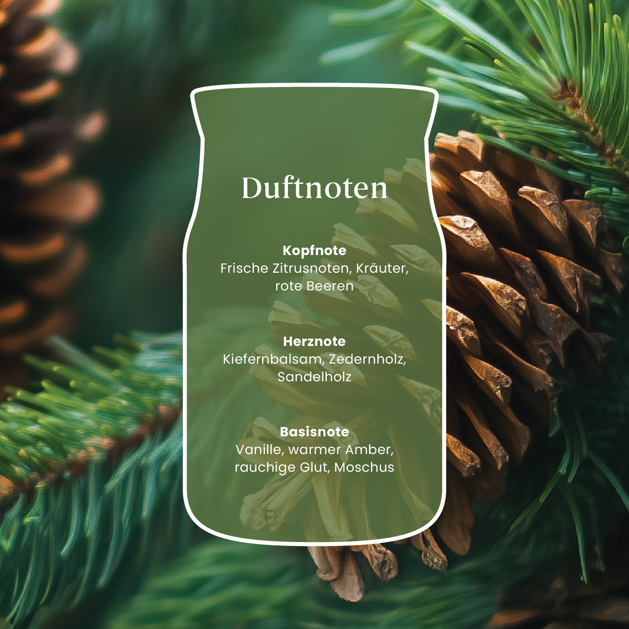 Balsam & Cedar Fireside 37g duftnoten, kussnoten, kefern, zitrus, rosige/beeren?