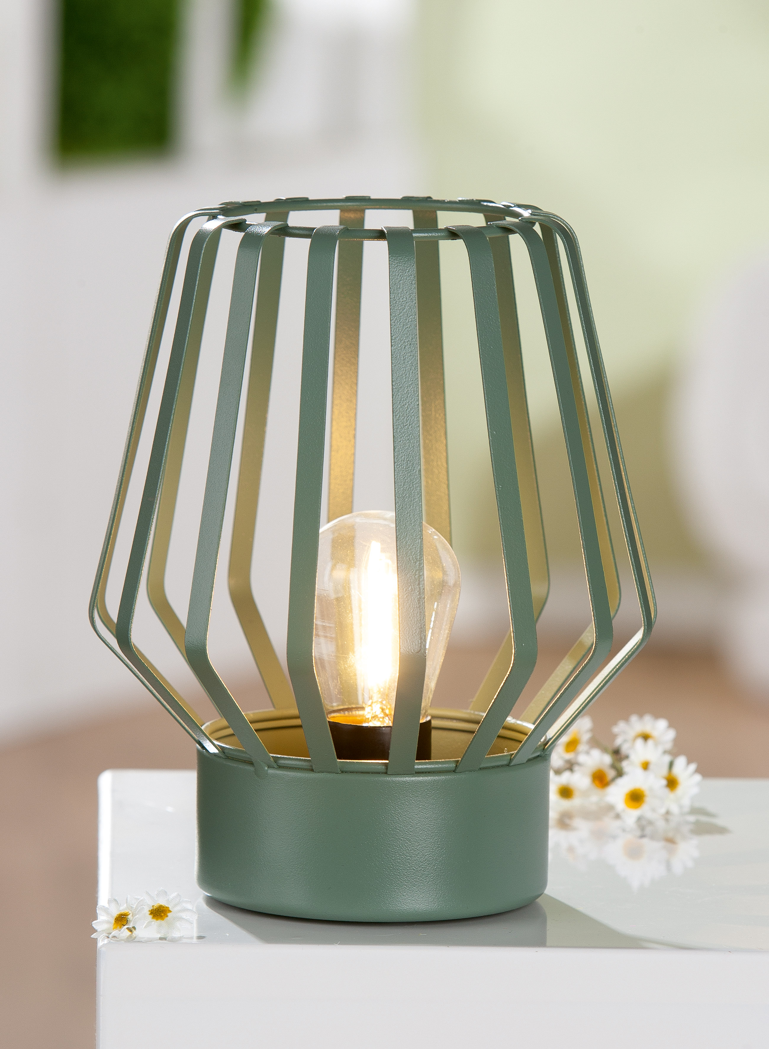 LED Windlicht Pavone grün