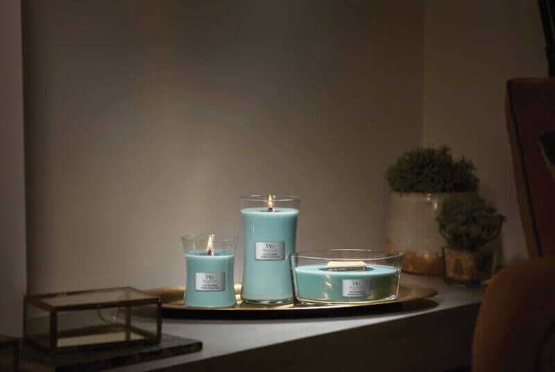 Blue Java Banana 610g