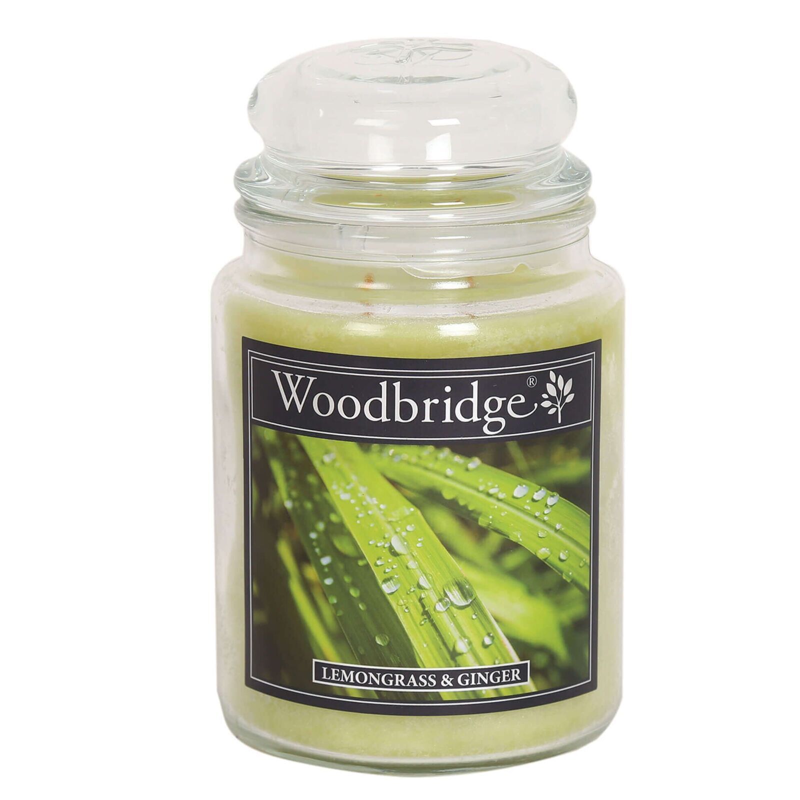 Lemongrass & Ginger 565g
