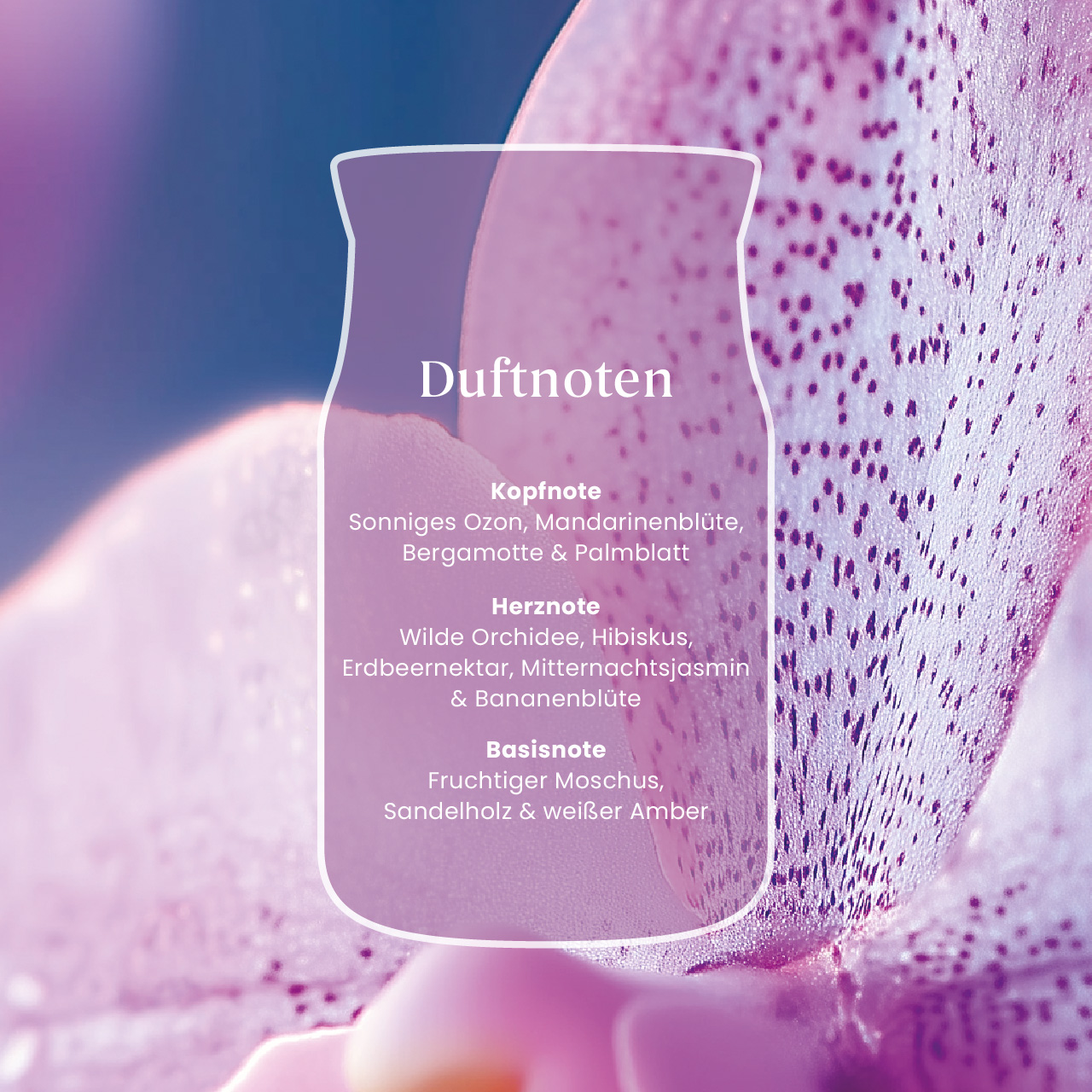 Wild Orchid Signature Large Jar 567g 2-Docht Wild Orchid Signature Large Jar 567g 2-Docht