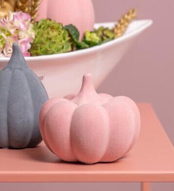 Kürbis Koba flach altrosa 9cm