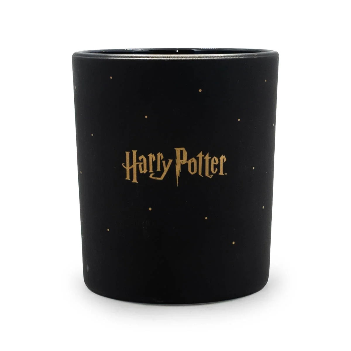 Hogwarts Black - Harry Potter™ Duftkerze 135g