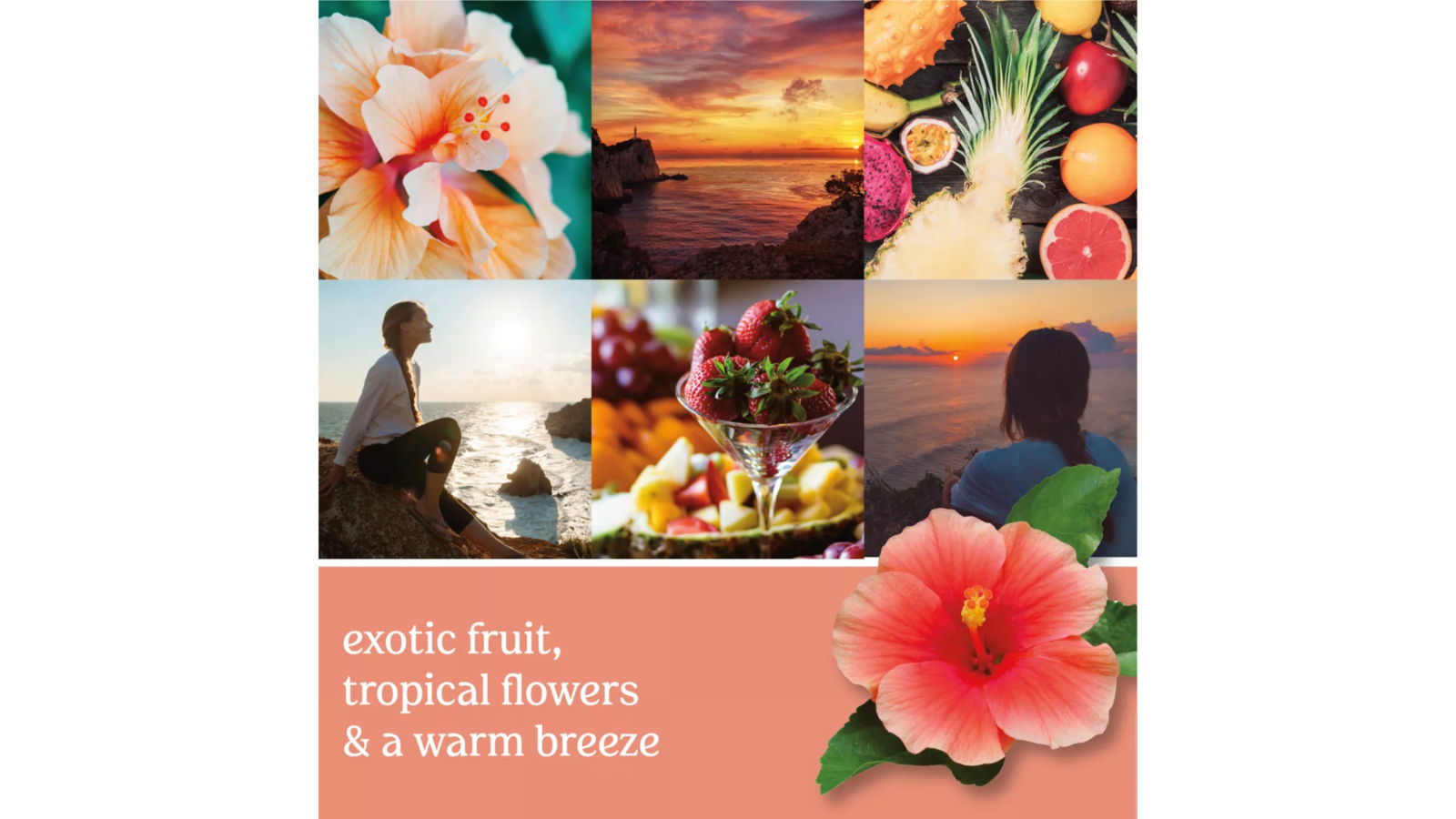 cliffsun2 Cliffside Sunrise 623g