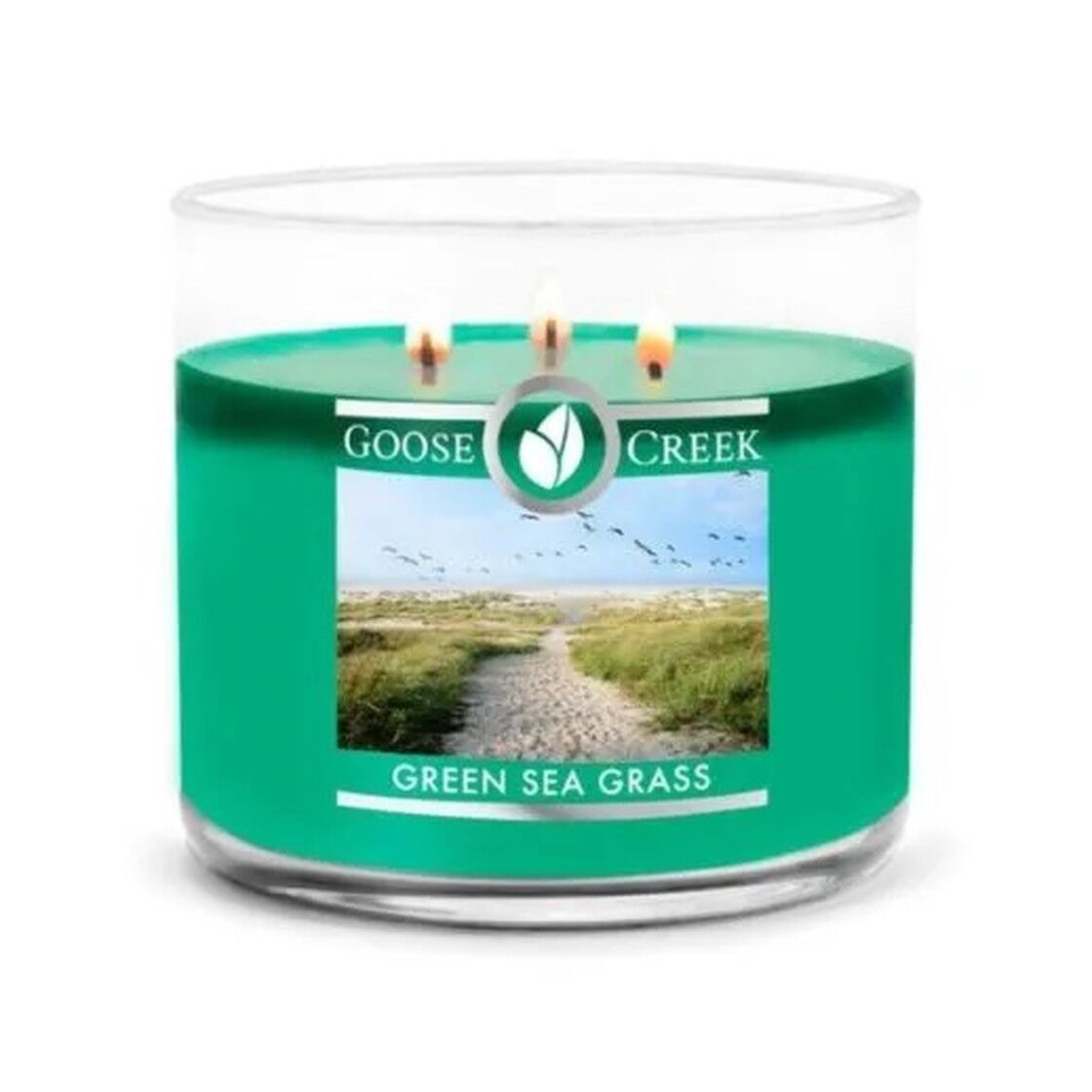 green-seagrass-3-docht-kerze-411g Green Seagrass 411g
