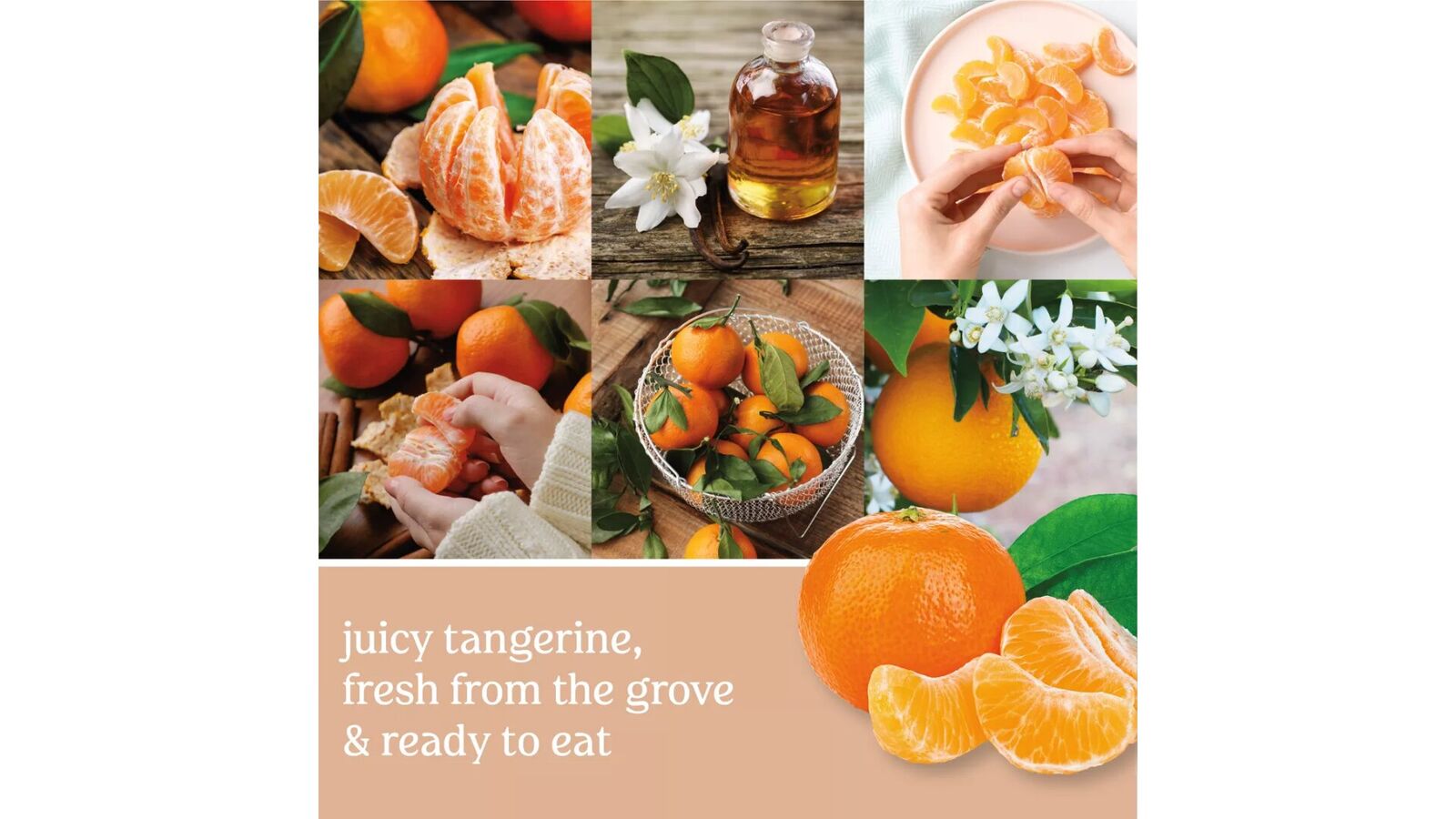 Tangerine & Vanilla 623g