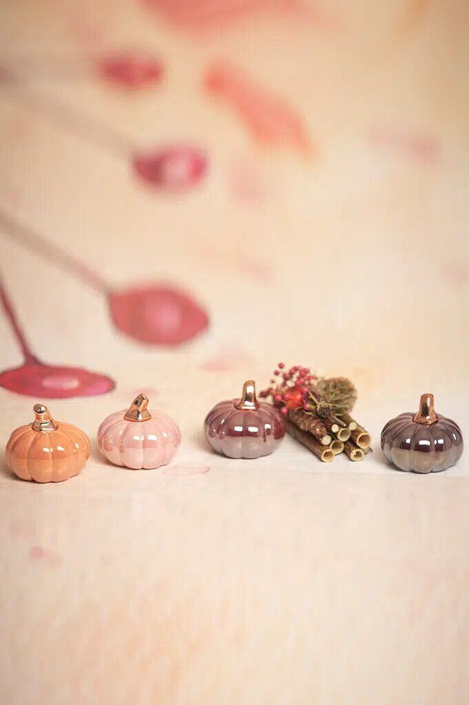 Minikürbis Boglia 8cm glory pink