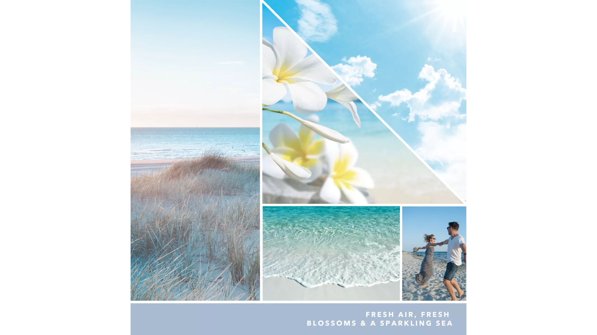 Download-12 Ocean Air 37g