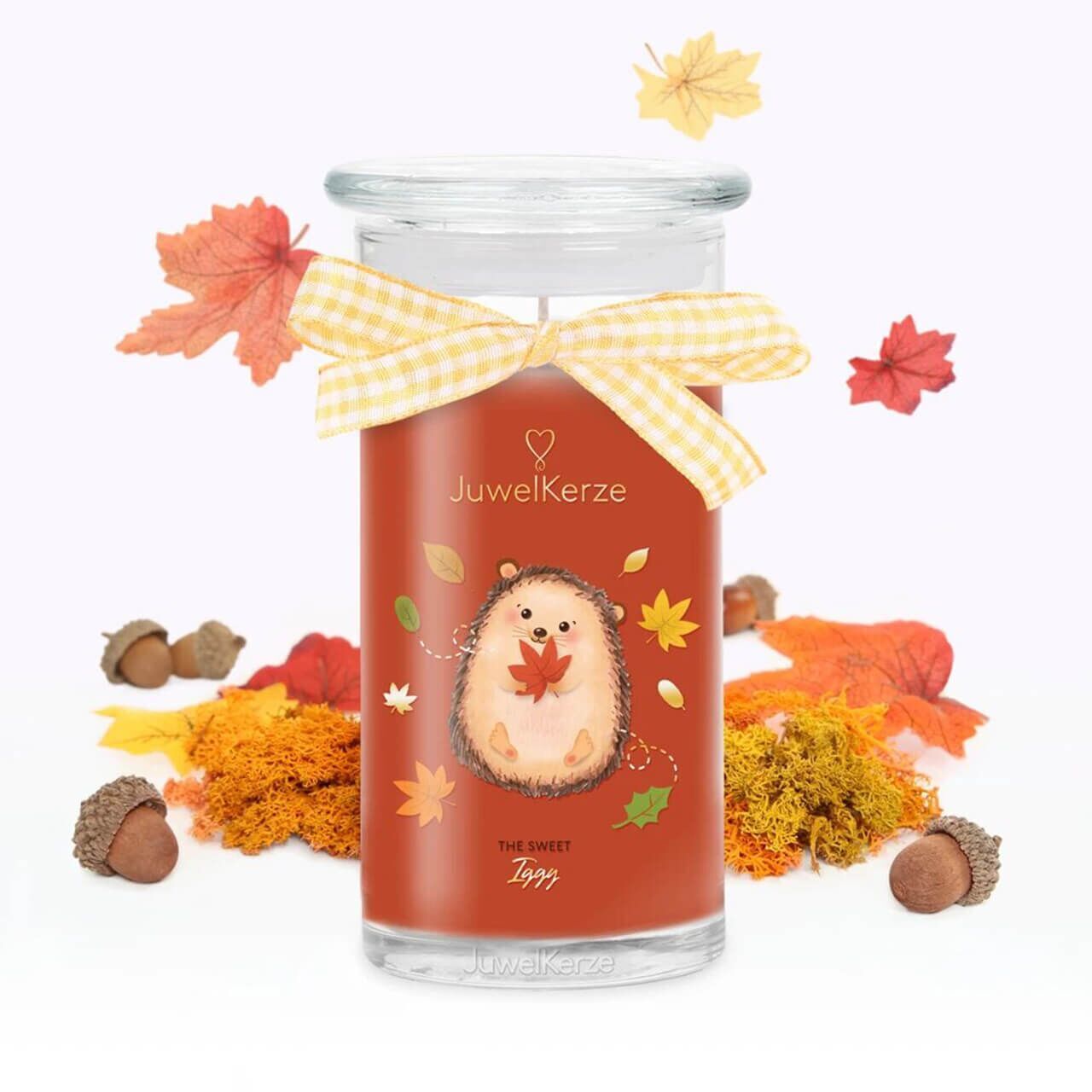 e7670848c63ed08a73f4f3b22fc5e9d02f0a29a4_the_sweet_iggy_scented_candle_with_jewel_jewelcandle_product_picture_de_e5bc4e43-20da-4d4a-9925-5526f3fd3283 The Sweet Iggy (Halskette) 400g