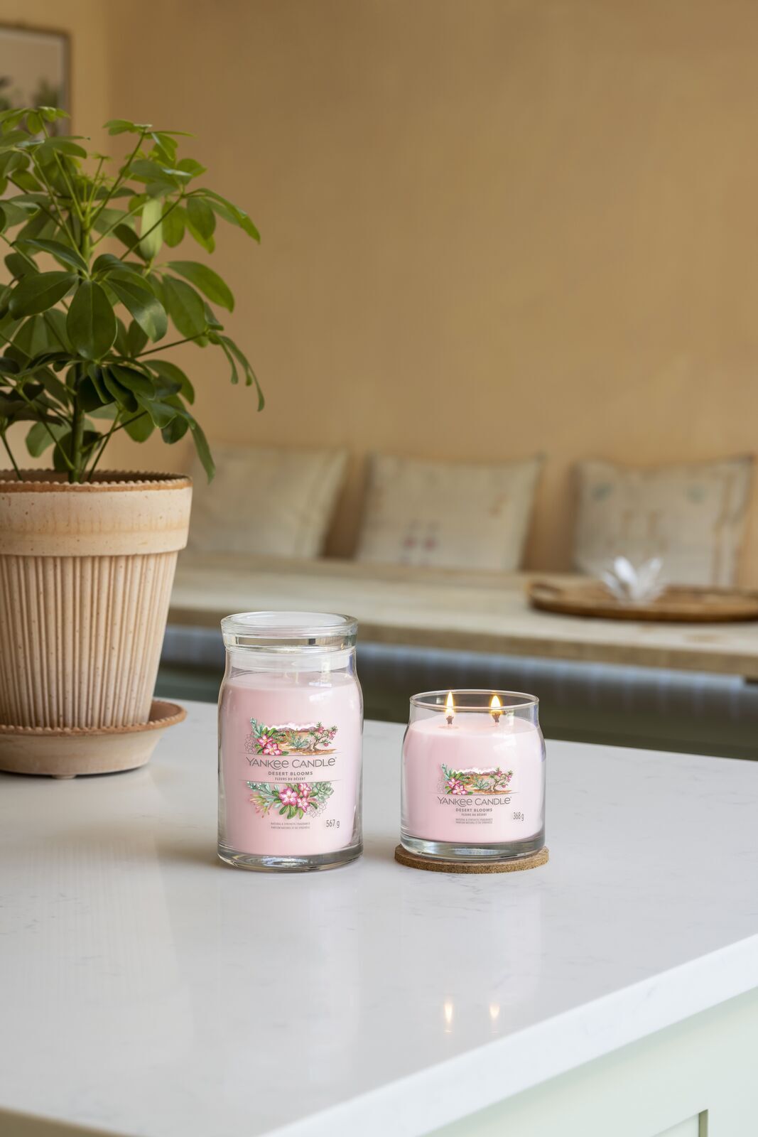 Desert Blooms Signature Large Jar 567g 2-Docht