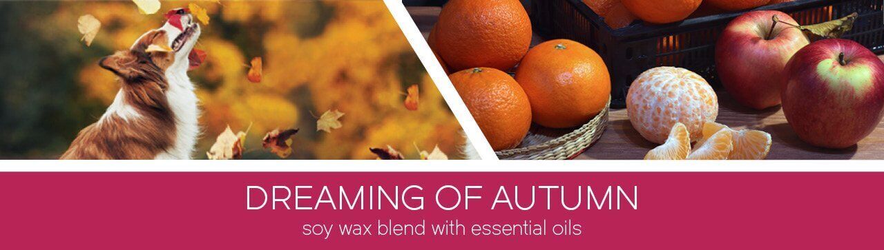 Dreaming of Autumn 411g (3-Docht)