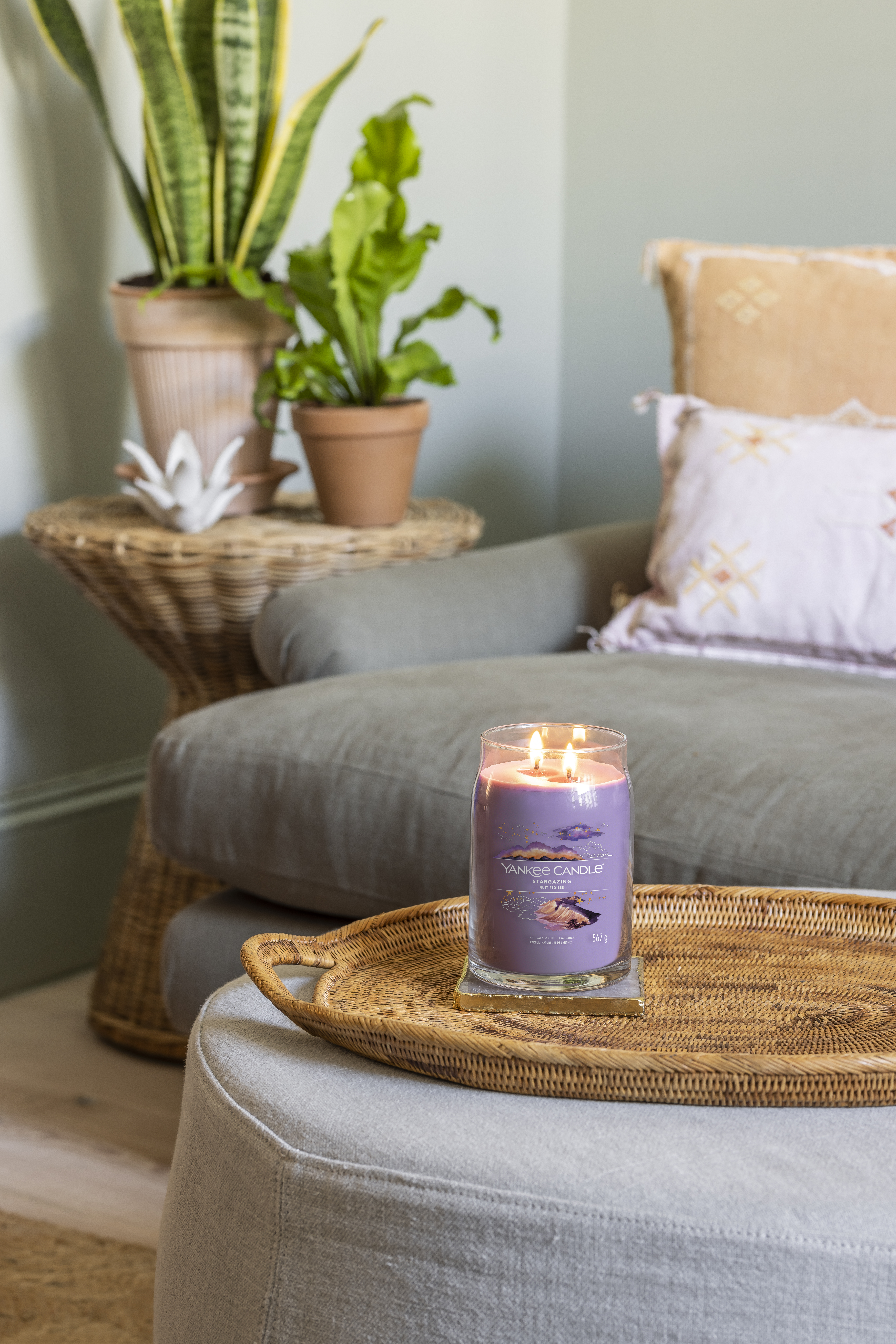 STARGAZING_LARGE_016 Stargazing Signature Large Jar 567g 2-Docht