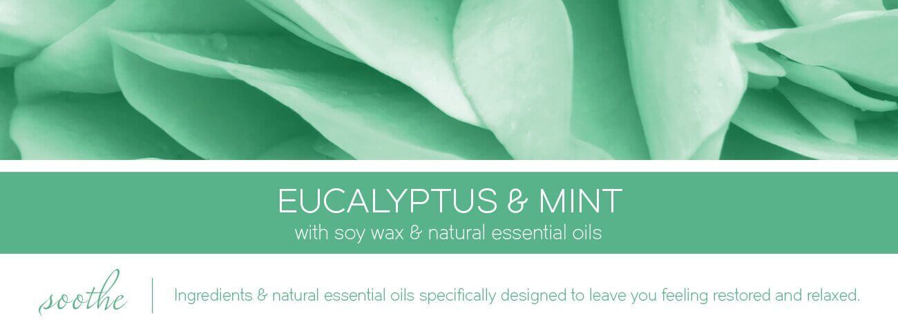 eucalyptus-mint-aromatherapy-candle-fragranceT4B9BiYxZ0PQr SOOTHE Eucalyptus & Mint 411g (3-Docht)
