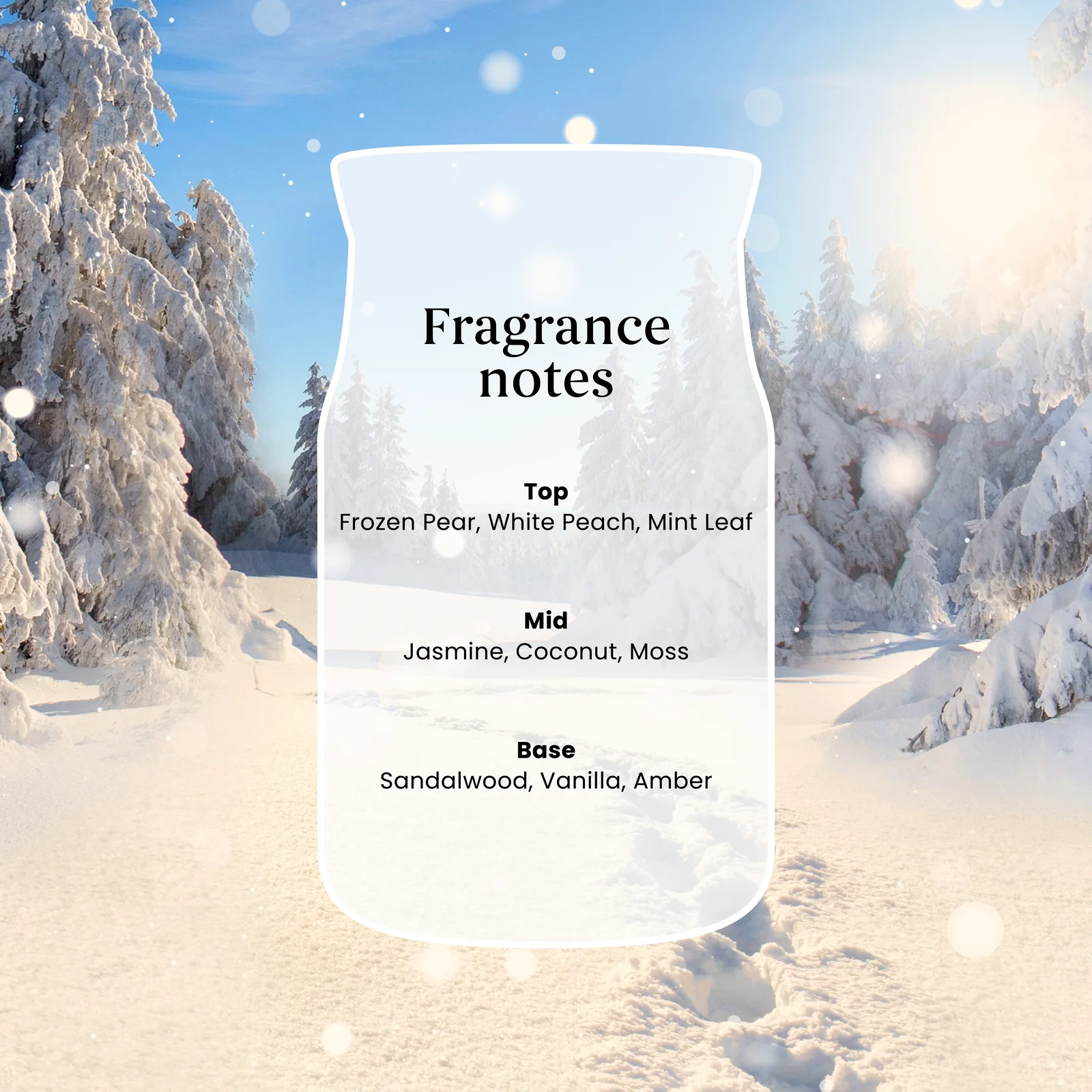 Winter Walk Signature Jar 567g 2-Docht Fragrance notes, Top: Gefrorene Birne, WeißePfirsich, Minzblatt, Basis: Sandelholz, Vanille, Bernstein