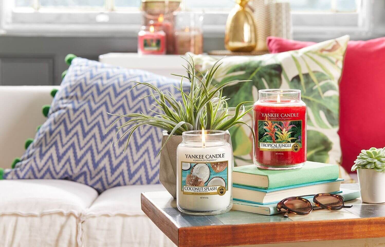 Just-Go-_Tropical_Coconut_Landscape Tropical Jungle 623g