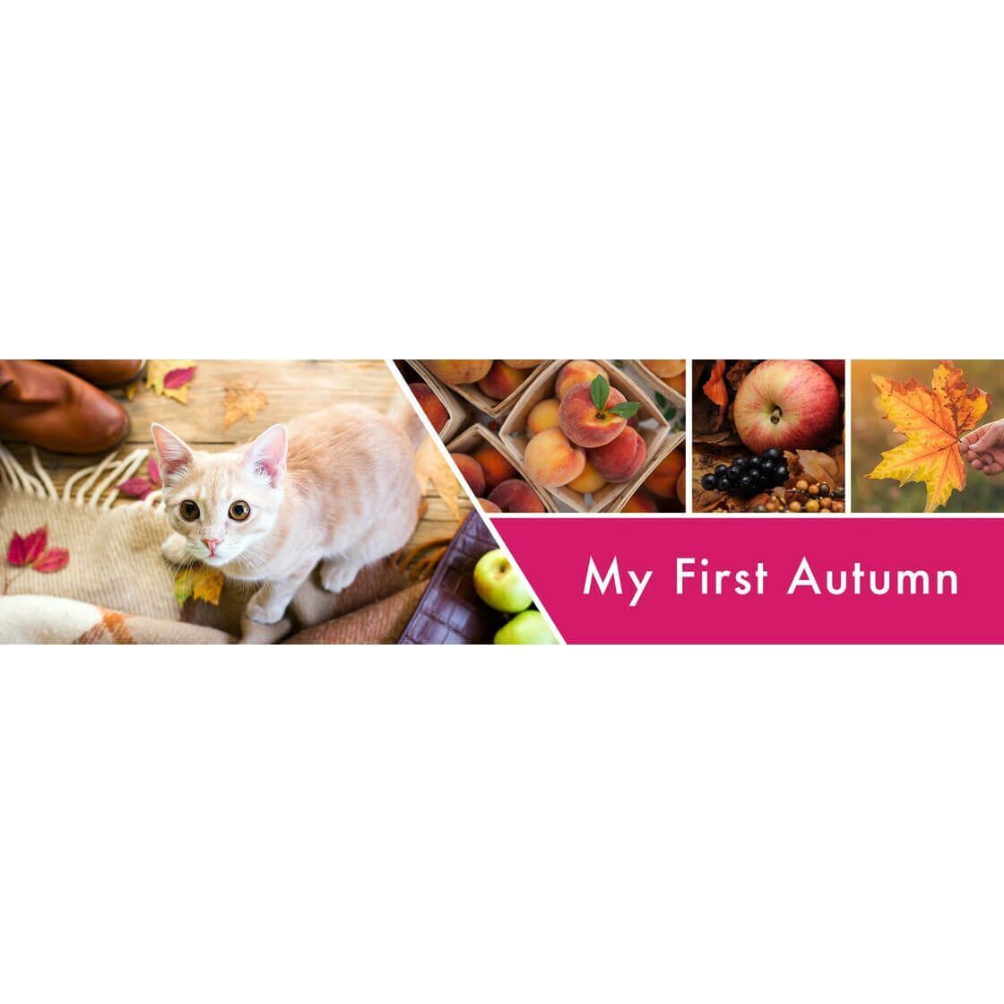 my-first-autumn-3-docht-kerze-411g-2 My First Autumn 411g (3-Docht)