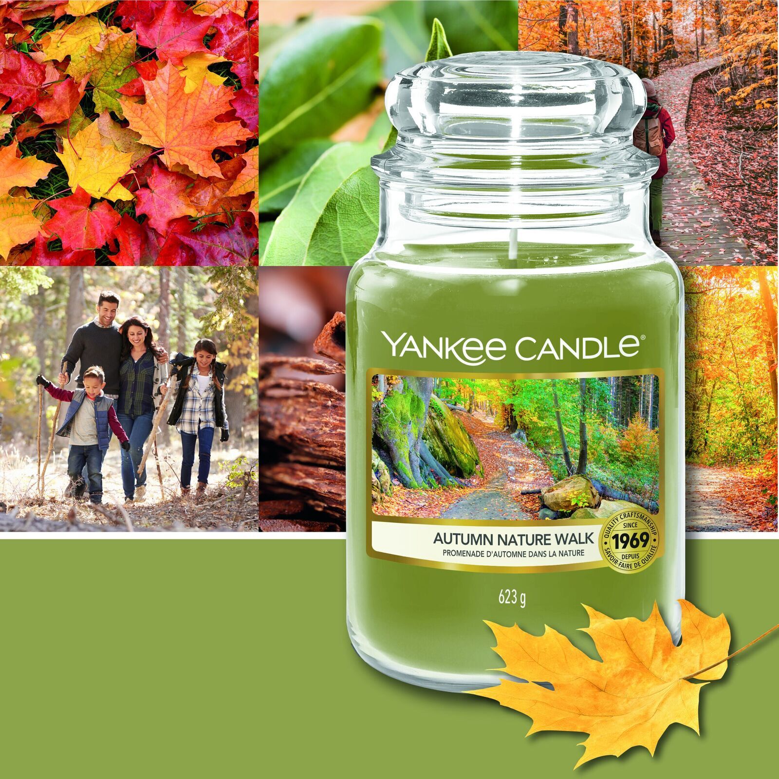 Autumn Nature Walk 623g