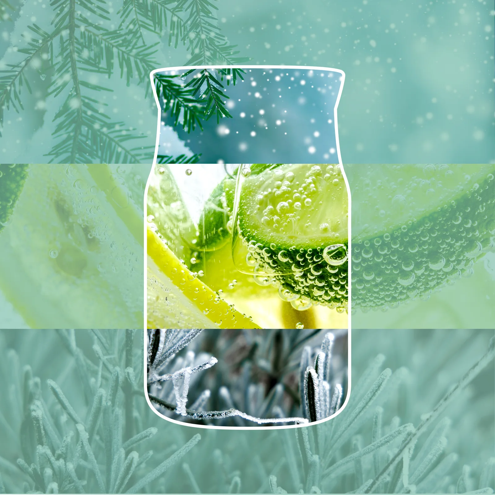 Glasflasche, Eisbläschen, Grüner Zitrus, Kälte, Kühlschrank-Accessoire