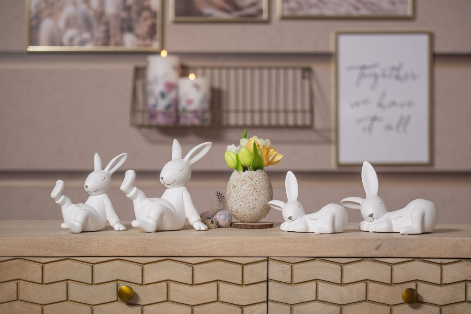 _DSC6841 Hase Calle liegend