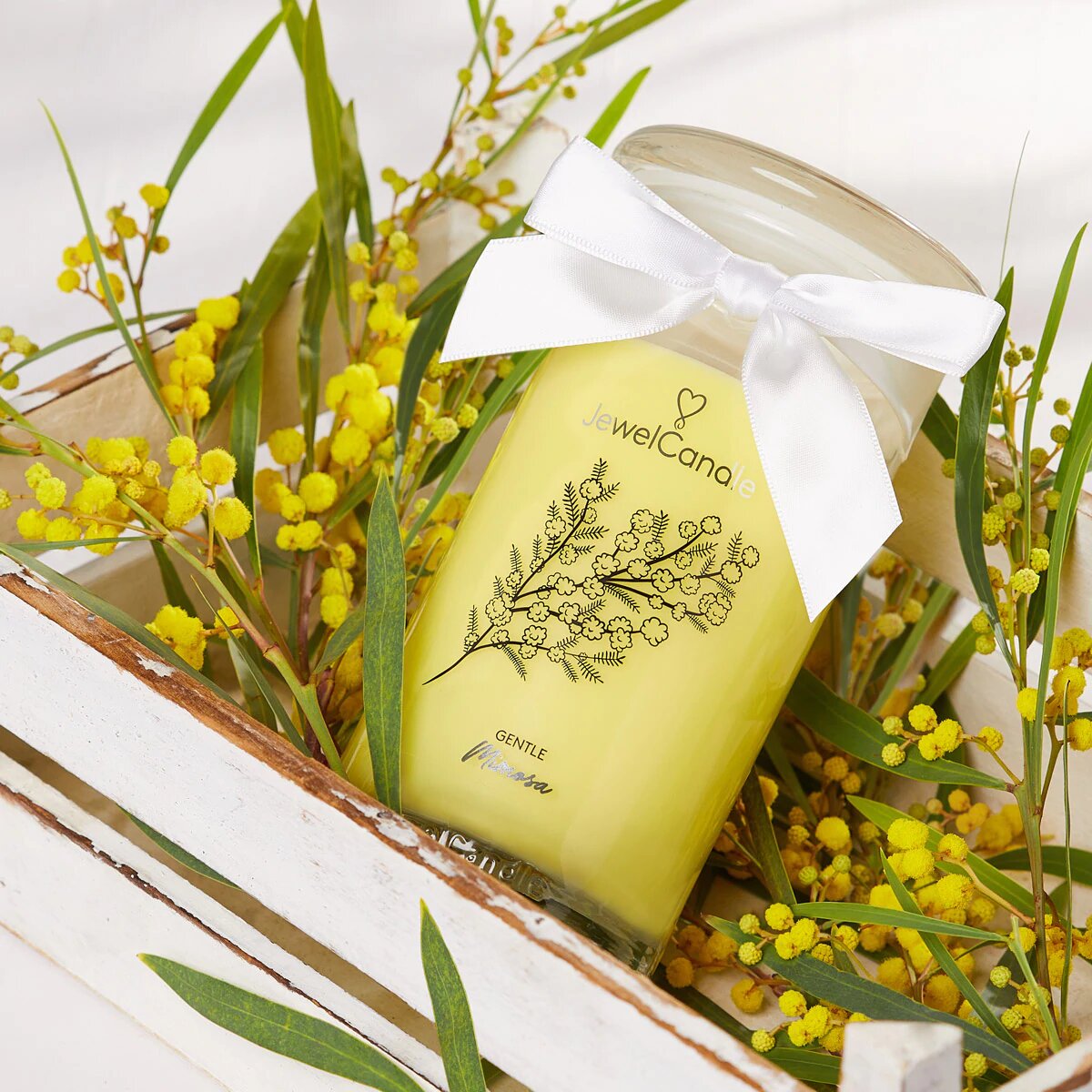 Gentile Mimosa (Armband) 400g