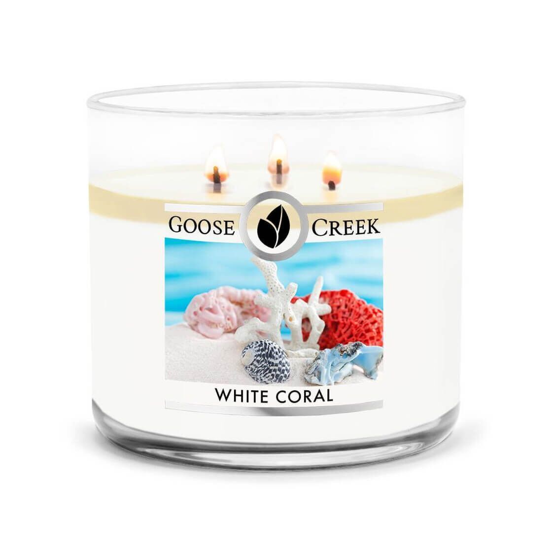 White Coral 411g (3-Docht)
