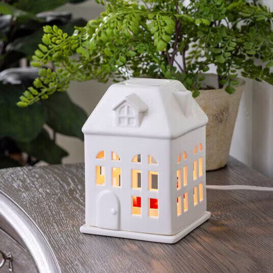 Pflanze, Pflanze im Topf, Lampe, Pflanzgefäß, Vase