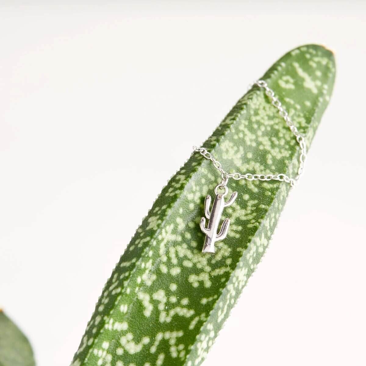 cd3655eecd3bb64bd036ca7682c1c607e23165a0_51223176379_7f223b8d67_o_5b5fad23-3f62-41a4-a5e4-e8bdc7a5ca3b Bold North America (Armband) 400g