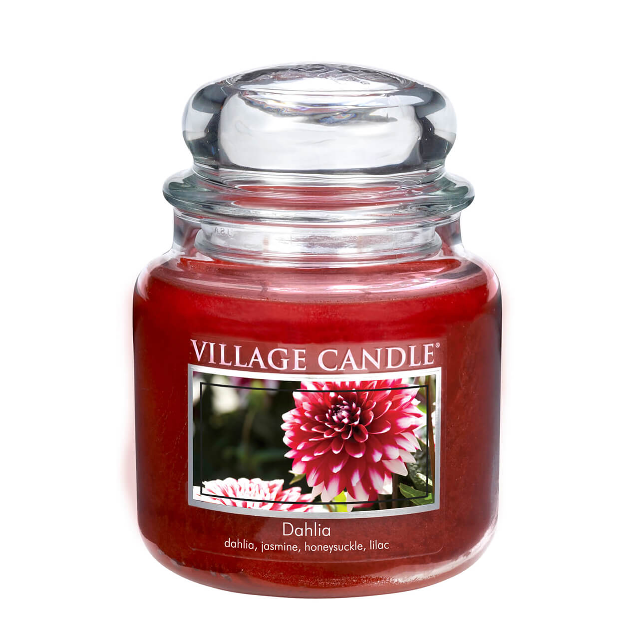 Dahlia 389g
